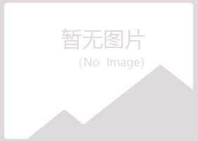 日照岚山莫爱会计有限公司